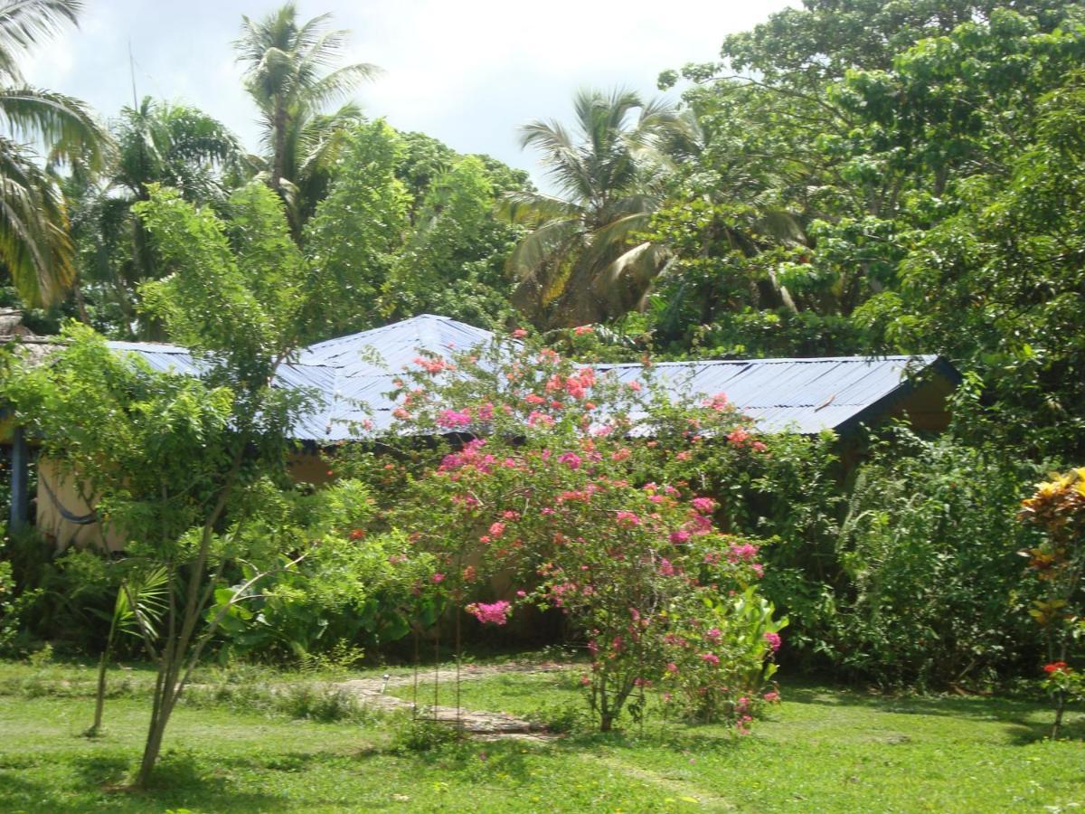 Fata Morgana Eco Hotel Las Terrenas Exterior photo