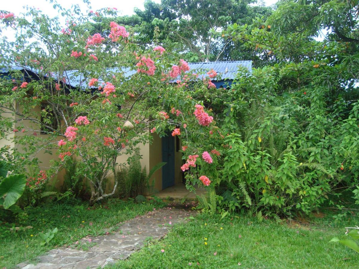 Fata Morgana Eco Hotel Las Terrenas Exterior photo