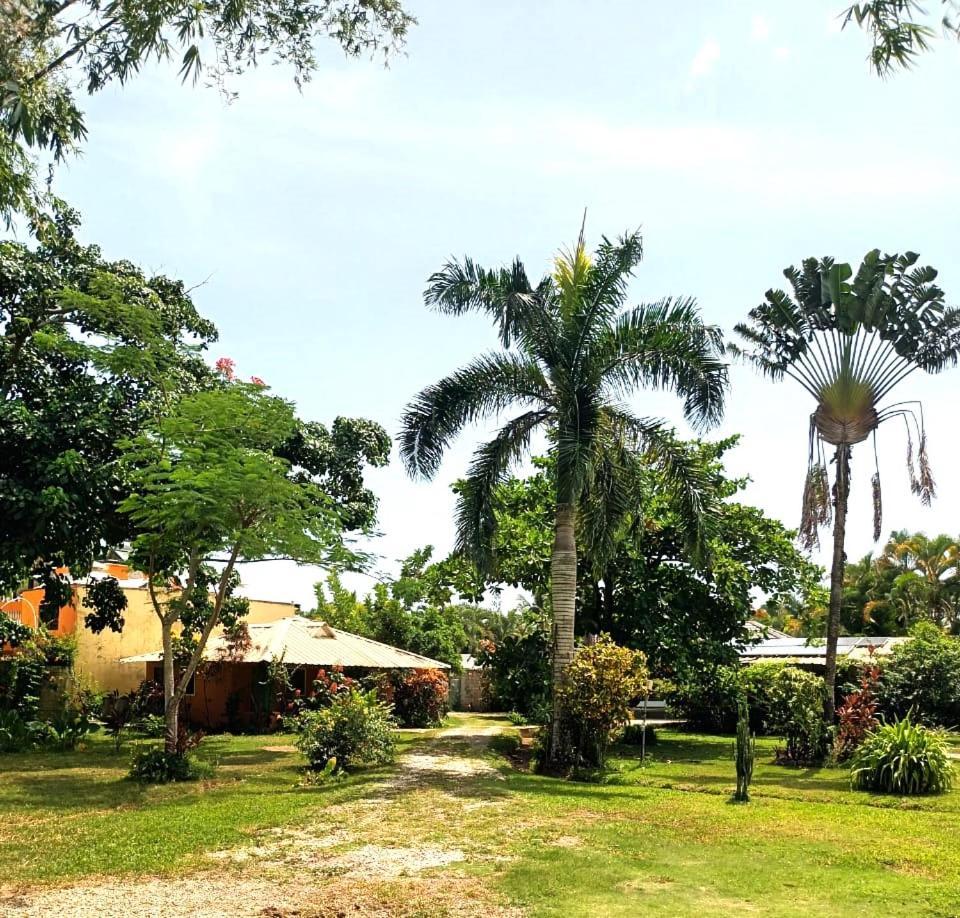 Fata Morgana Eco Hotel Las Terrenas Exterior photo