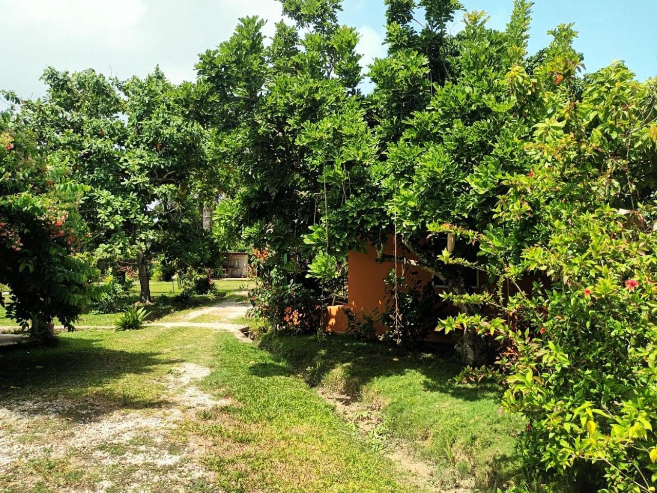 Fata Morgana Eco Hotel Las Terrenas Exterior photo